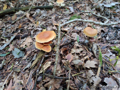 Фото Красивые места, в которых я был (photo#144540)