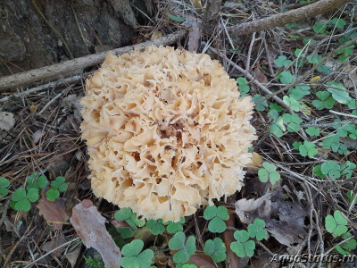 Фото Красивые места, в которых я был (photo#144550)
