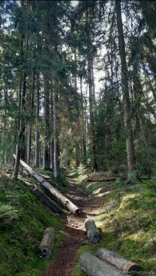 Фото Красивые места, в которых я был (photo#144556)