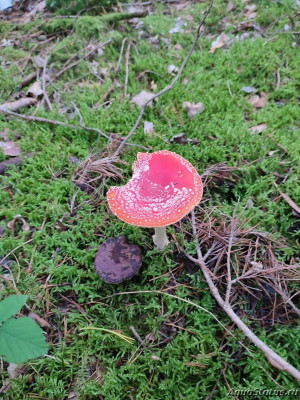 Фото Красивые места, в которых я был (photo#144565)