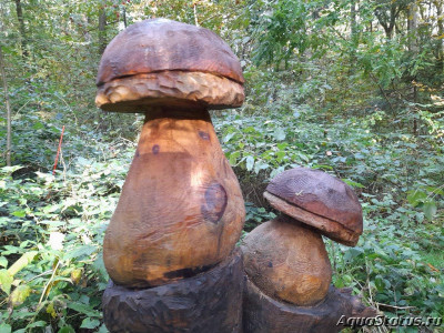 Фото Красивые места, в которых я был (photo#144566)