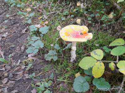 Фото Красивые места, в которых я был (photo#144571)