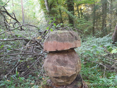 Фото Красивые места, в которых я был (photo#144594)