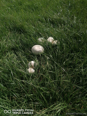 Фото Красивые места, в которых я был (photo#144618)