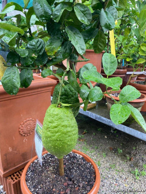 Фото Красивые места, в которых я был (photo#145042)