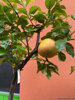Фото Красивые места, в которых я был (photo#145043)