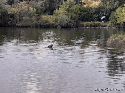 Фото Прогулка по Регенсбургу и Дунаю (photo#145620)