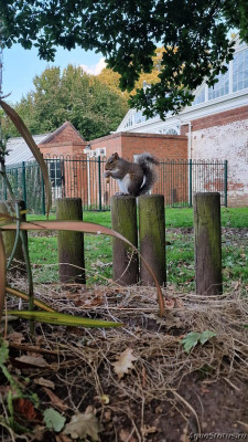 Фото Парк Wolverhampton West Park в Великобритании (photo#145666)