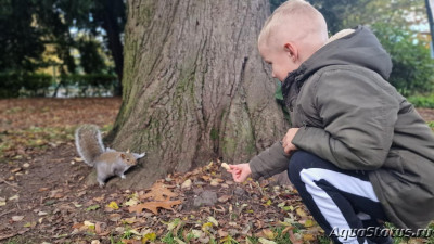 Фото Парк Wolverhampton West Park в Великобритании (photo#145668)