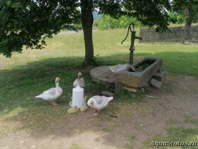 Фото Красивые места, в которых я был (photo#146111)