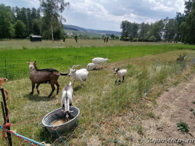 Фото Красивые места, в которых я был (photo#146113)