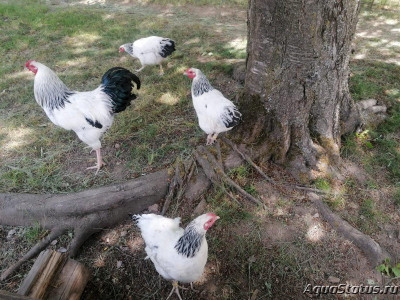 Фото Красивые места, в которых я был (photo#146116)