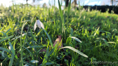 Фото Парк Wolverhampton West Park в Великобритании (photo#147478)