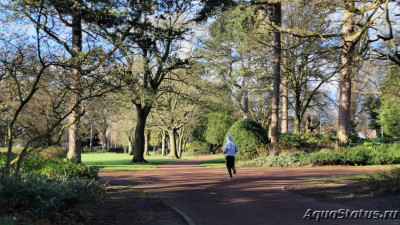 Фото Парк Wolverhampton West Park в Великобритании (photo#147481)