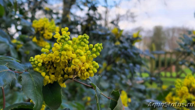 Фото Парк Wolverhampton West Park в Великобритании (photo#147484)