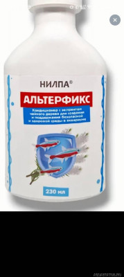 Фото У самца моллинезии начал покрываться хвост в коричневый цвет (photo#147678)