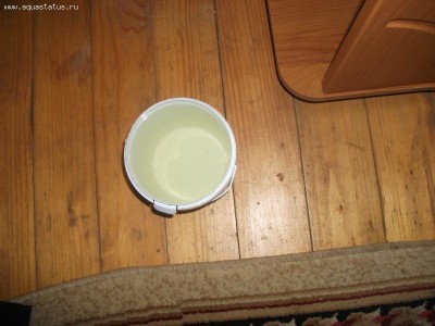 Мутная вода в аквариуме, муть в аквариуме