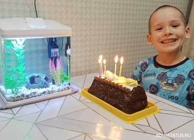 Фото Первый в жизни аквариум. Cтаканчик 7 литров Ленчик  (photo#148323)