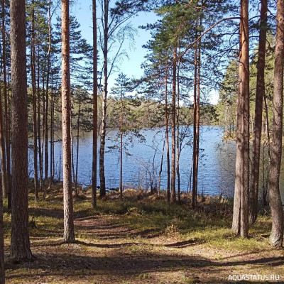 Добро и зло - игра
