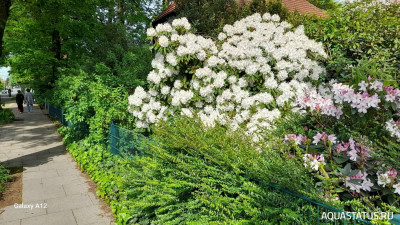 Фото Прогулка по городу Бремен, район Вегезак (photo#148598)