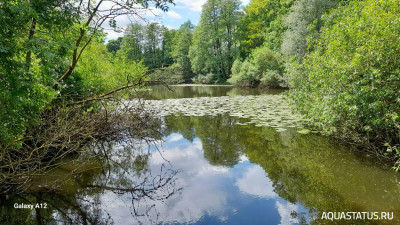 Фото Прогулка по городу Бремен, район Вегезак (photo#148692)
