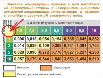 Нано аквариум 30 литров (Akexandritsa)