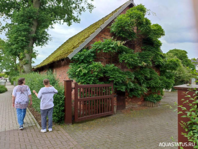 Фото Прогулка по городу Бремен, район Вегезак (photo#148877)