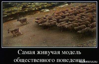 Добро и зло - игра