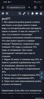 Второй в жизни аквариум 30 литров (Ленчик)