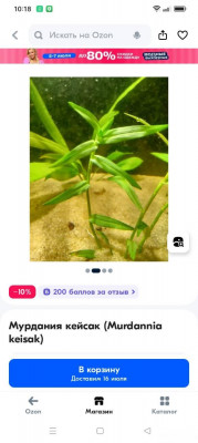 Опознание аквариумных растений