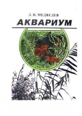 Фото Аквариум, Медведев, 1989 (photo#149734)