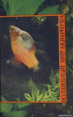 Волшебный мир аквариума, Серов, 1990