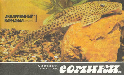 Фото Сомики, Кочетов, 1993 (photo#149890)