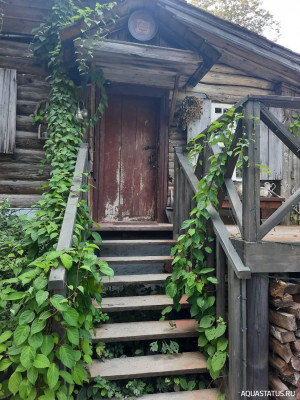 Фото Красивые места, в которых я был (photo#150610)
