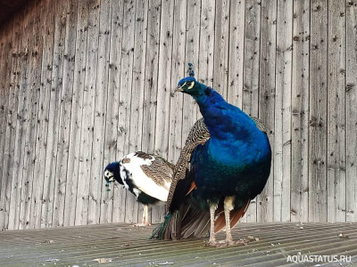 Фото Красивые места, в которых я был (photo#151330)