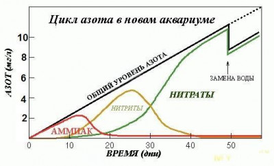 Фото Вода в аквариуме помутнела на второй день (photo#152198)