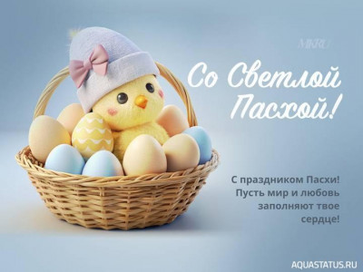 Поздравляем друг друга с разными праздниками