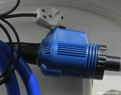 Как оставить аквариум на время отъезда без присмотра