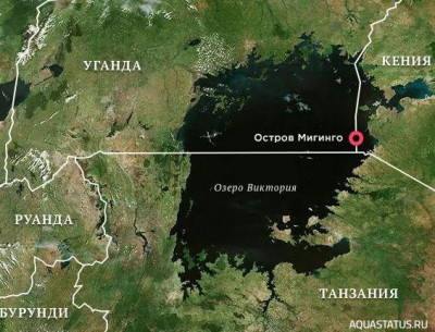Остром Мигинго - Migingo island