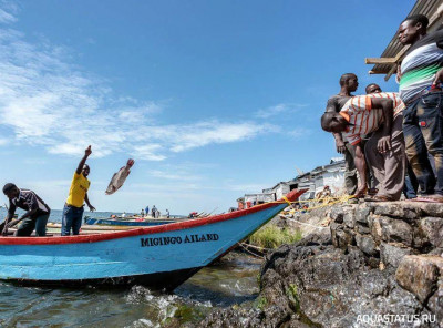 Остром Мигинго - Migingo island