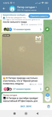 Водяные ослики, мексиканский гаммарус, щитни и прочие стрептоцефалы