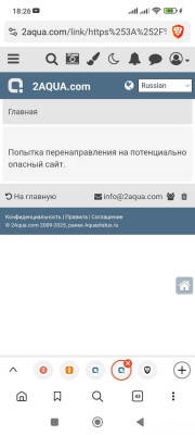 Водяные ослики, мексиканский гаммарус, щитни и прочие стрептоцефалы