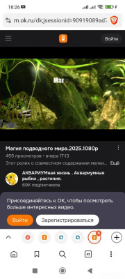 Водяные ослики, мексиканский гаммарус, щитни и прочие стрептоцефалы