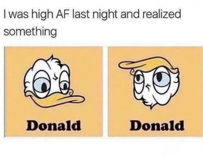 Как вам Дональд Трамп?