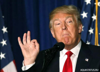 Как вам Дональд Трамп?
