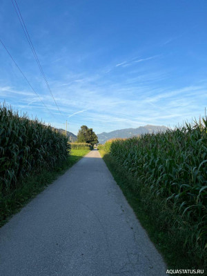 Фото Фольдерс Volders, Österreich  (photo#156024)