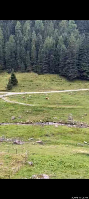 Фото Фольдерс Volders, Österreich  (photo#156037)