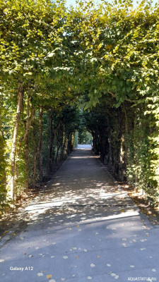Эрмитаж Байройта (Eremitage Bayreuth)