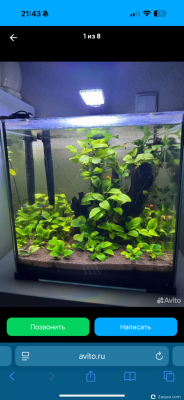 Гибнут растения, а хочется заросли