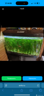 Гибнут растения, а хочется заросли